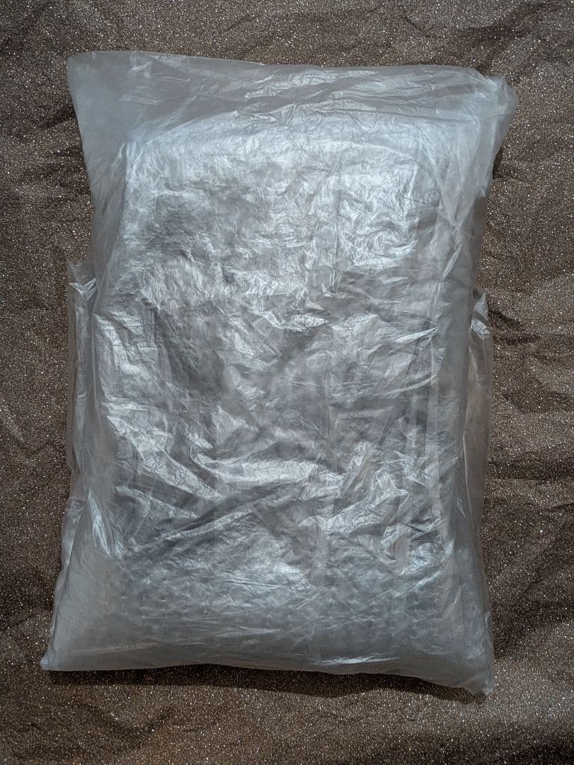 新品未使用ヴェーダスカルプブラシ BS for salon PSM-110B