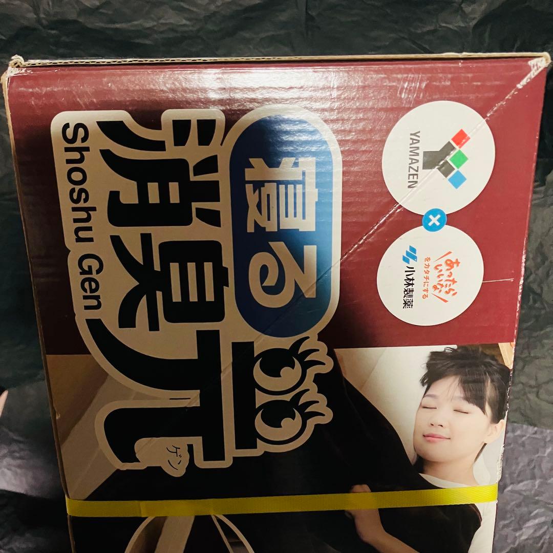 [山善] 電気掛・敷毛布 丸洗い可能 消臭元 188×130cm