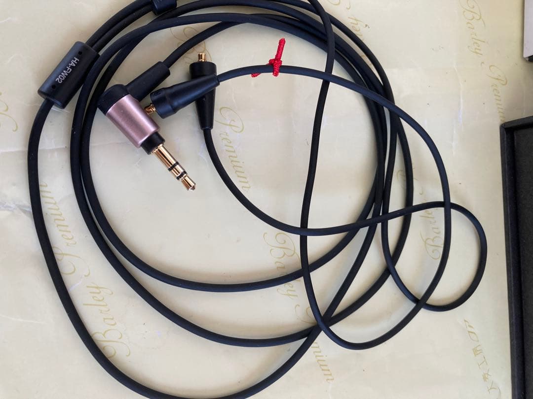 JVC HA-FW02 リケーブル可能イヤホン