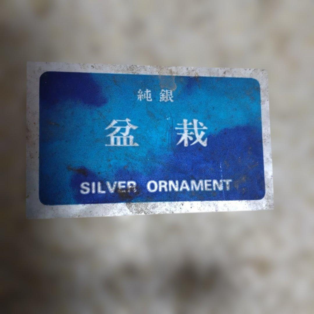 h*中様 純銀製 光則作 盆栽 2号「松」ガラスケース・紙箱付き