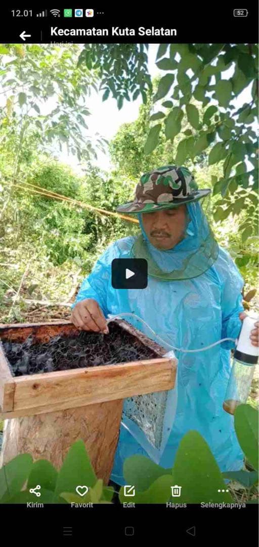 専用 針なしミツバチの蜂蜜150g6本、サリビンクリーム、赤生姜、森の蜂蜜