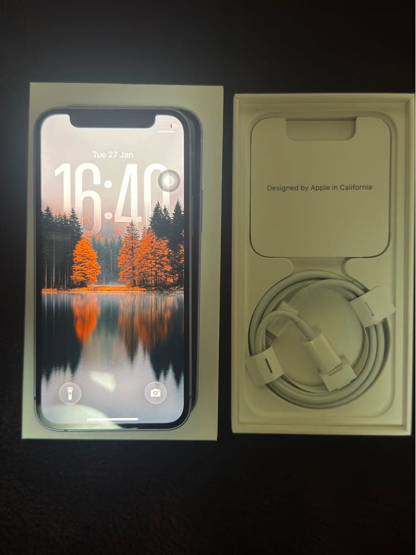 Apple iPhone 12 Mini パープル 本体