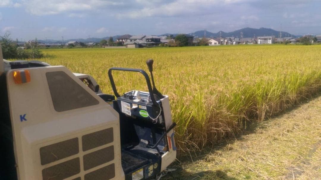 令和７年度兵庫県産 ちほみのり 玄米30kg※精米可 本州・四国・九州は送料無料