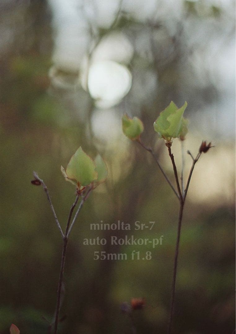 ★作例必見！完動品＊美品＊初期保証★minolta sr-7&緑のロッコール