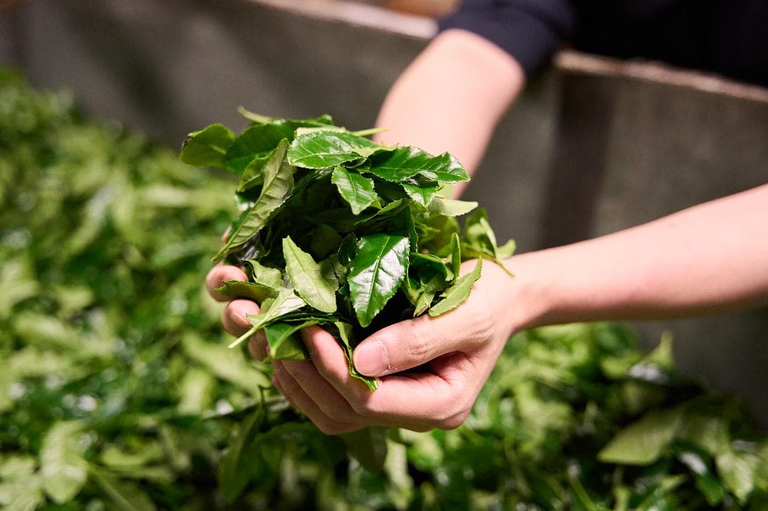 【5缶セット】京都和束町産のオーガニック抹茶缶（シングルオリジン）