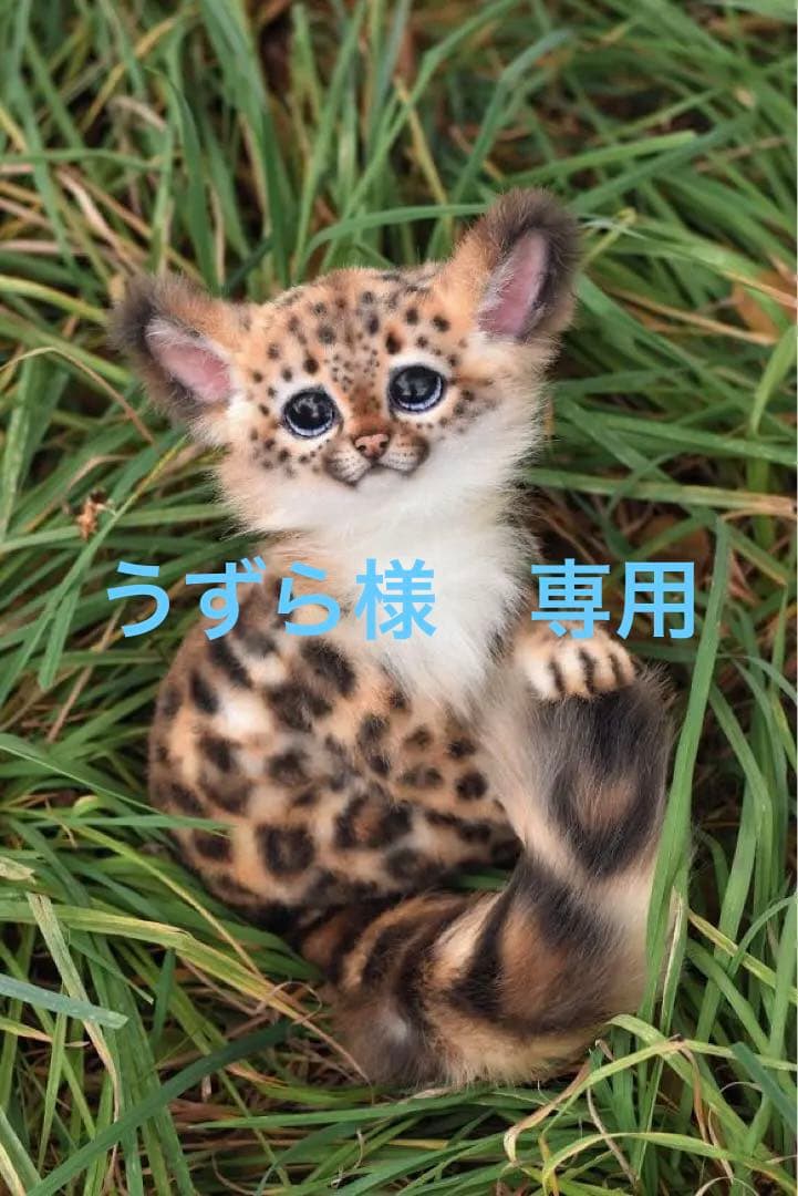 海外作家様　アートドール　ヒョウ