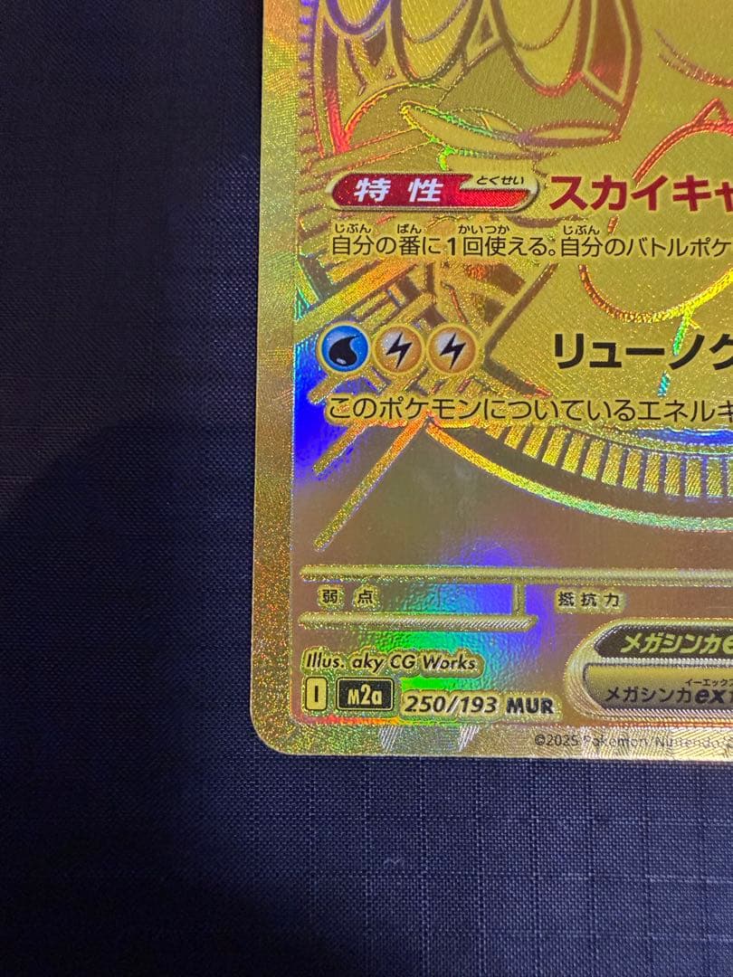 メガカイリューex MUR ローダー、おまけ付