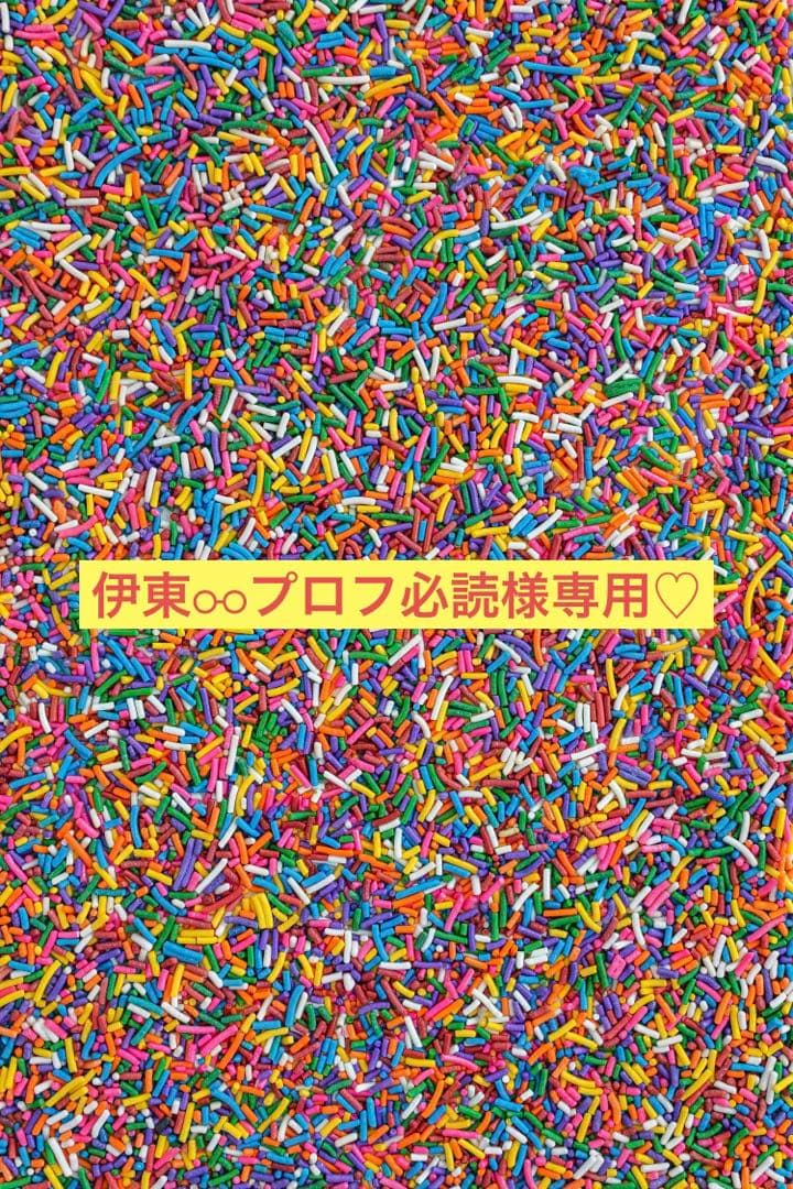 伊東⚯プロフ必読♡