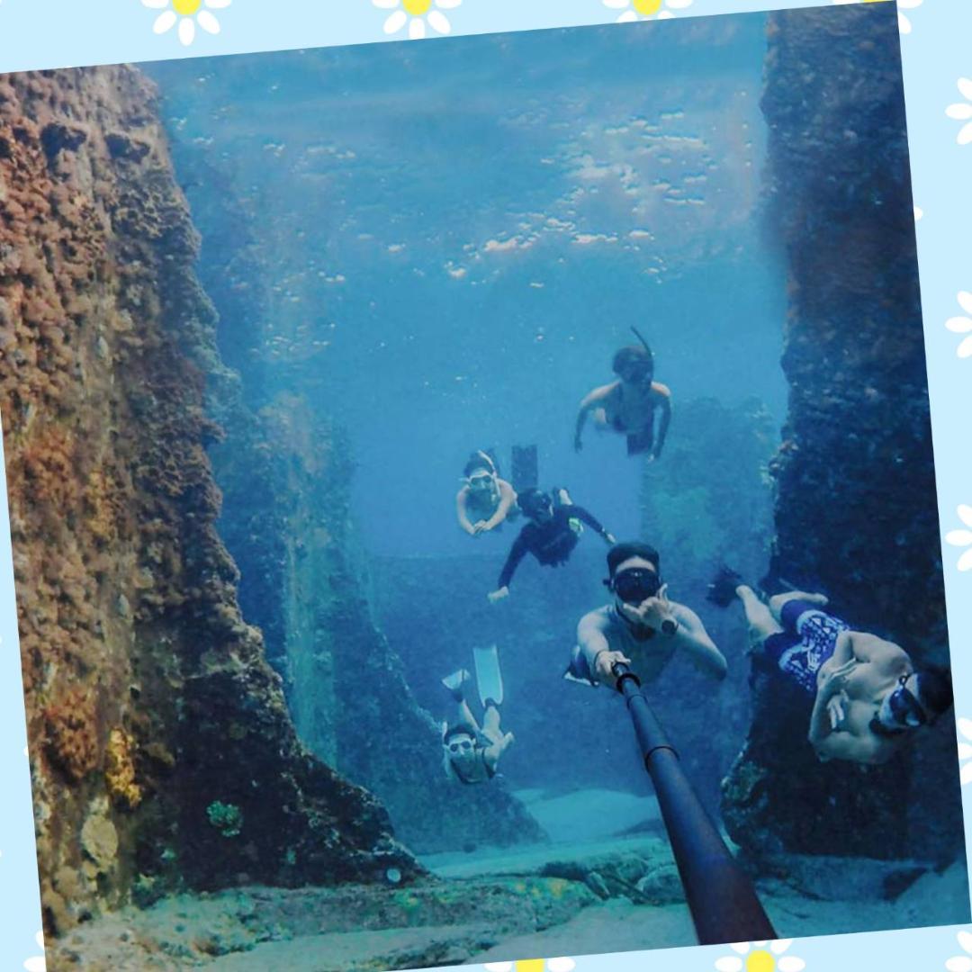 2.7mの長さで軽量な炭素繊維製の自撮り棒 - 180度回転・7段伸縮