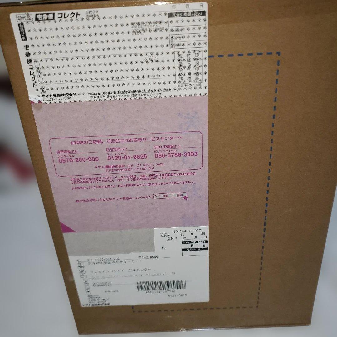 ほ*。様 P.O.Pワンピース“Evolutionary History”「ステ