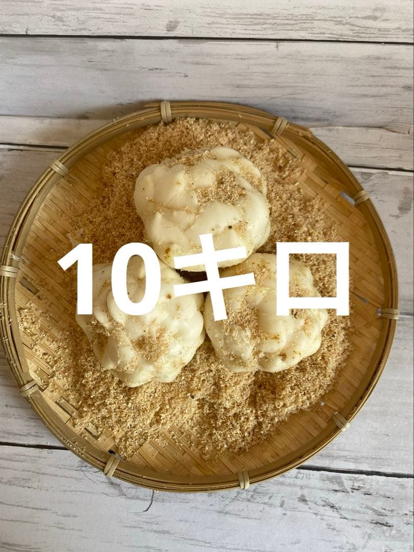 令和7年 北海道十勝産規格外ゆり根10キロ