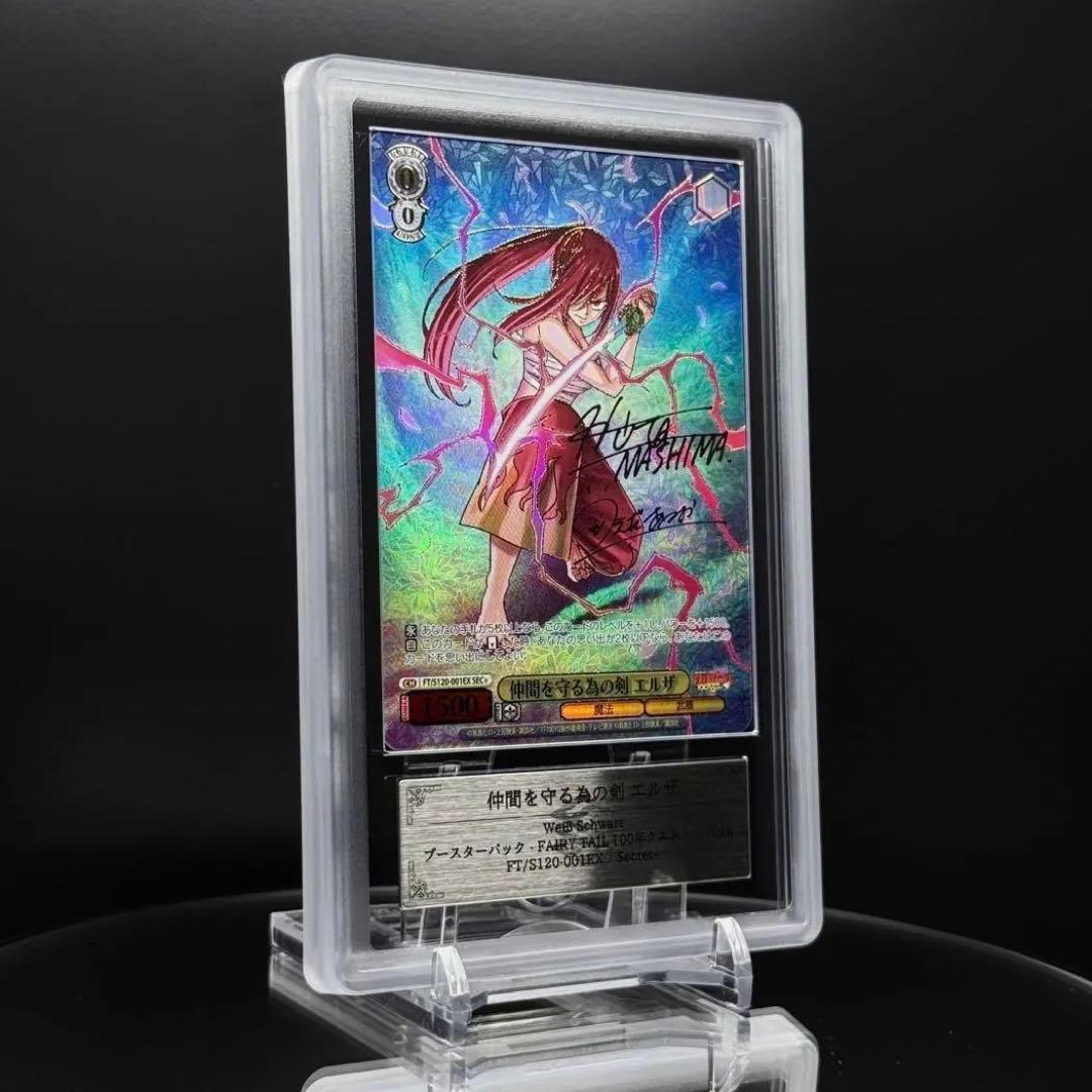 仲間を守る為の剣 エルザ SEC＋　ARS10＋　100年クエスト