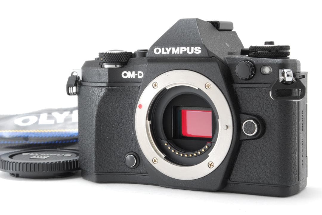 【美品・500ショット】OLYMPUS OM-D E-M5 MarkII ボディ