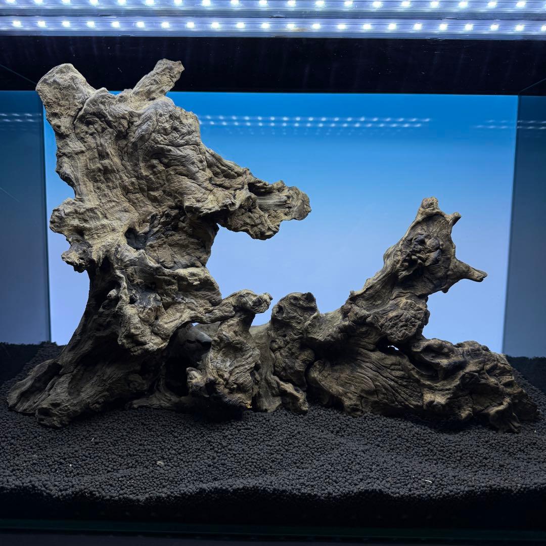 MJW-6882 ジンジャーウッド　レイアウトセット　天然流木　アクアリウム