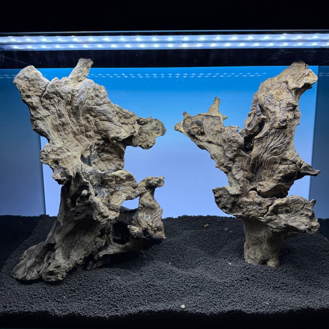 MJW-6882 ジンジャーウッド　レイアウトセット　天然流木　アクアリウム