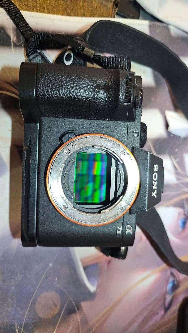 Sony α7 II デジタルカメラ 本体と付属品
