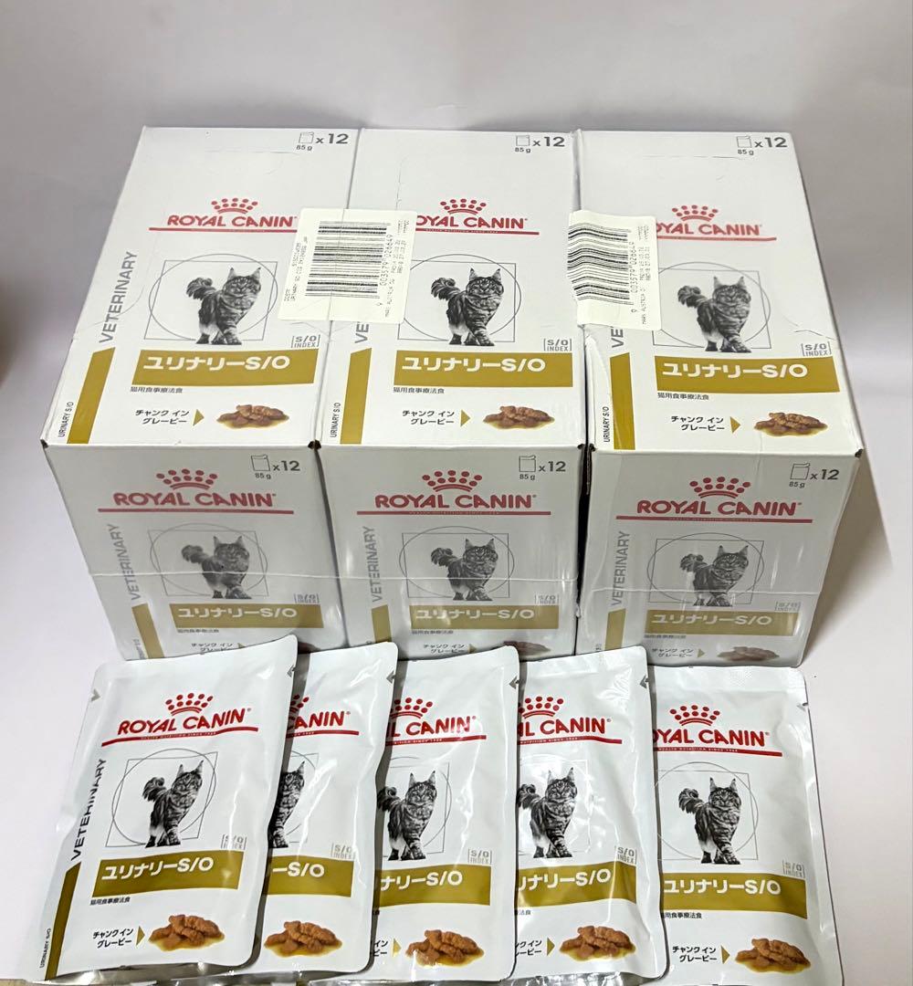 ロイヤルカナン ユリナリーS/O 猫用 未開封3箱➕5パウチ