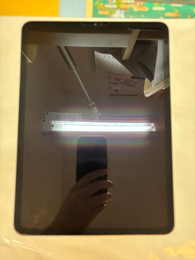 iPad Pro 11インチ