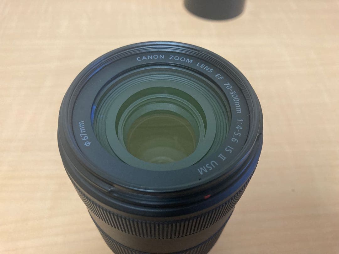 Canon EF 70-300mm IS II USM ズームレンズ
