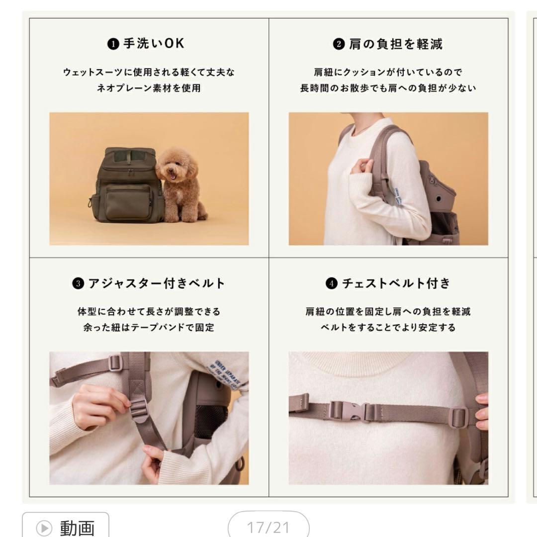 CITYDOG ブラック キャリーバッグ　レギュラーサイズ