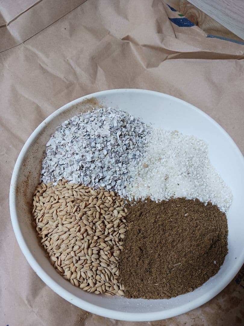 平飼い名古屋コーチン有精卵48個 保証4個含む