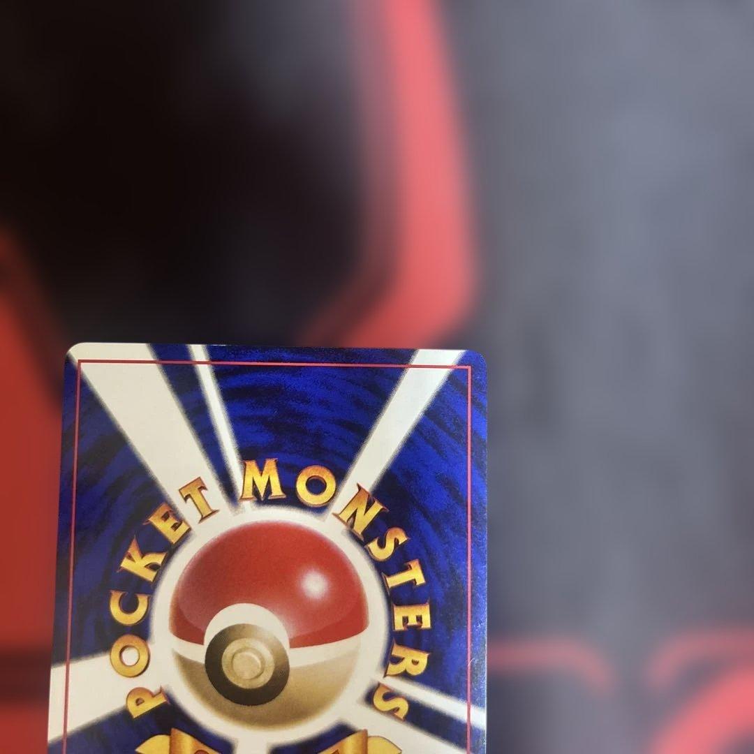 ライチュウ イントロパック