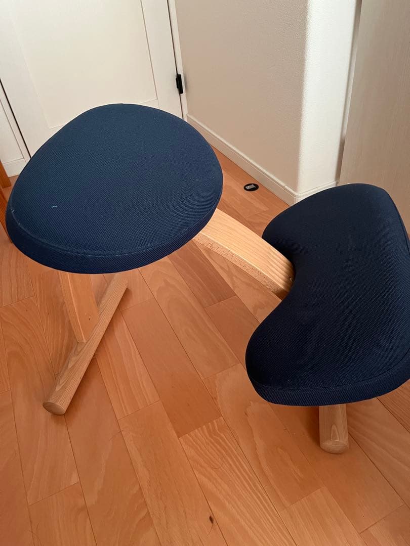 サカモト　バランスイージー バランスチェア 姿勢改善　Rybo リボ社