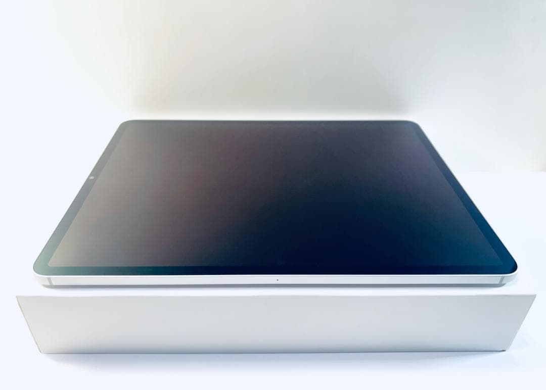 新品同様 iPad Pro 12.9インチ 第5世代Cellular 256GB