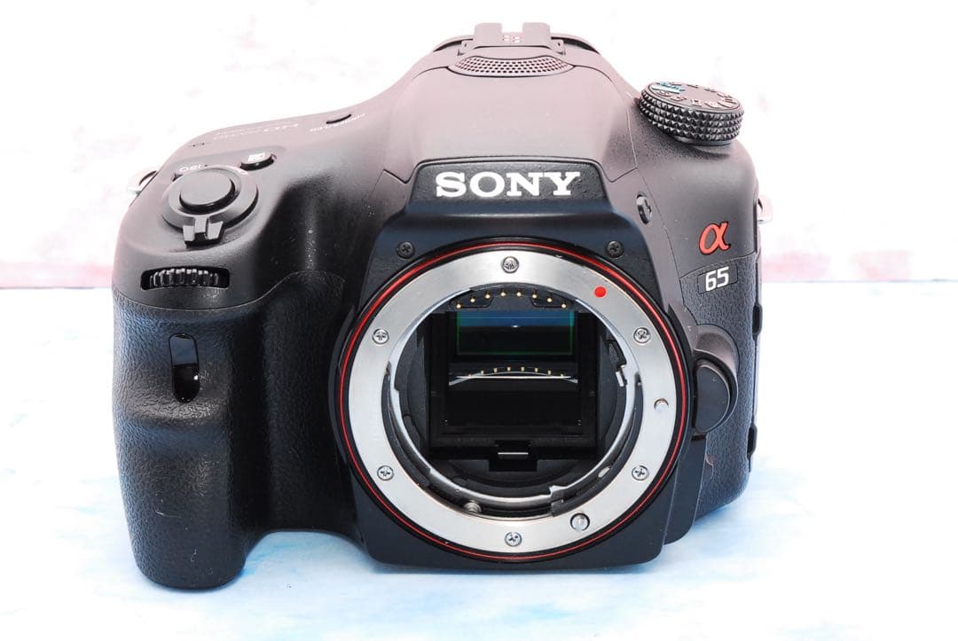 ソニー α65☆レンズ交換不要の高倍率レンズ☆一眼レフカメラ☆ショット数極少