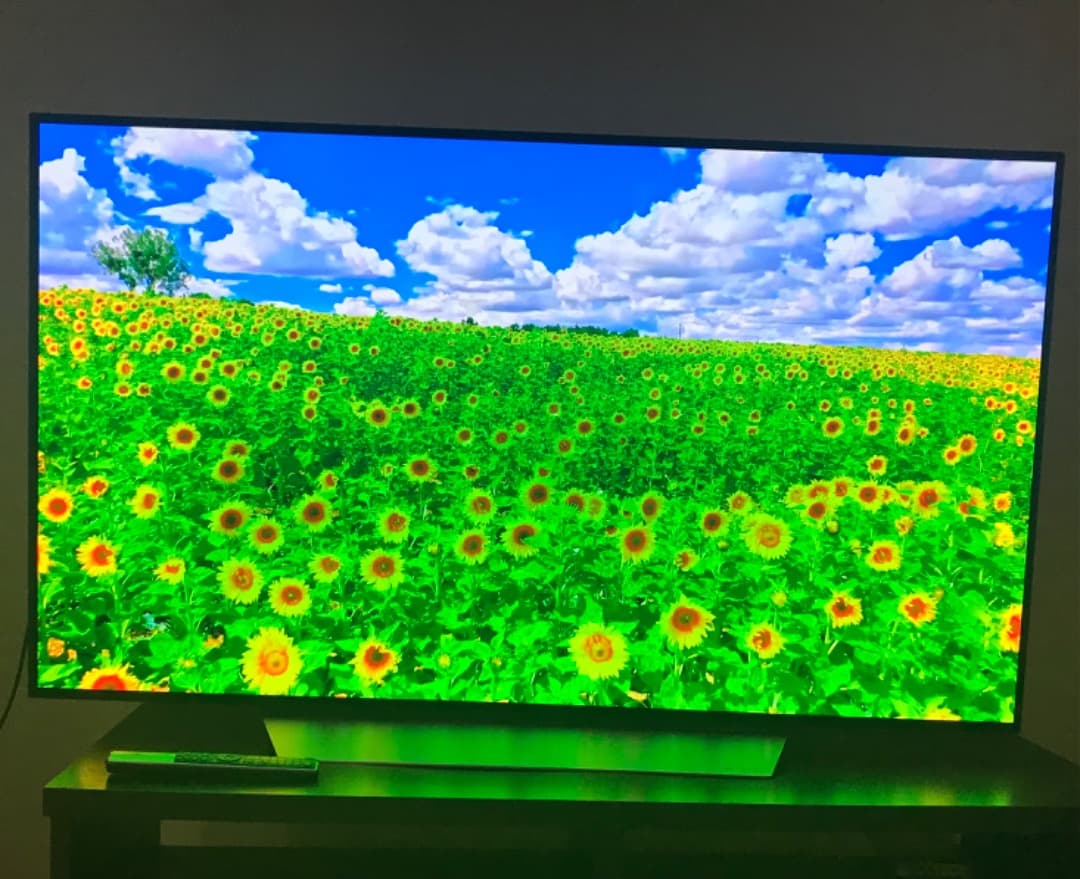 テレビ LG OLED 55v C7with Burn in pickup only