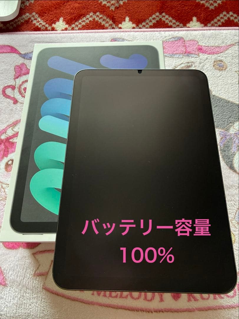 iPad mini (第6世代) 8.3インチ 64GB 100%