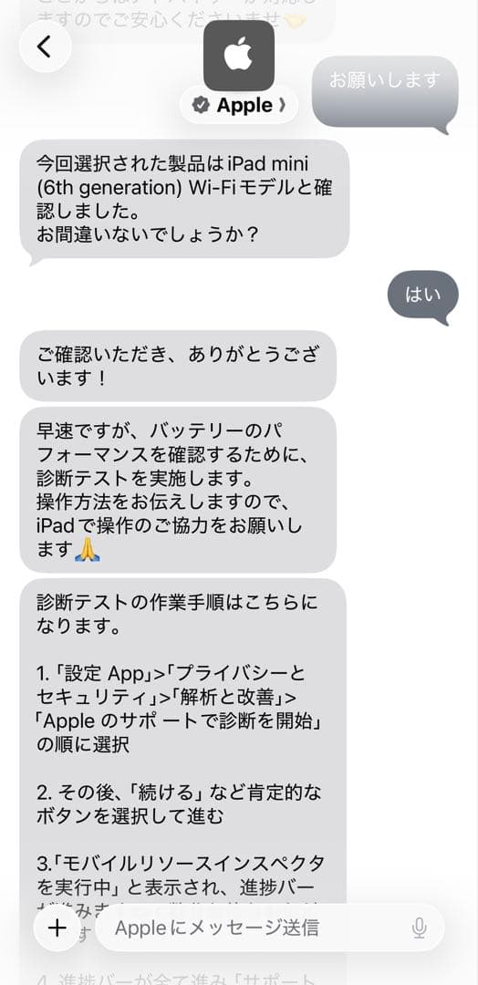 iPad mini (第6世代) 8.3インチ 64GB 100%