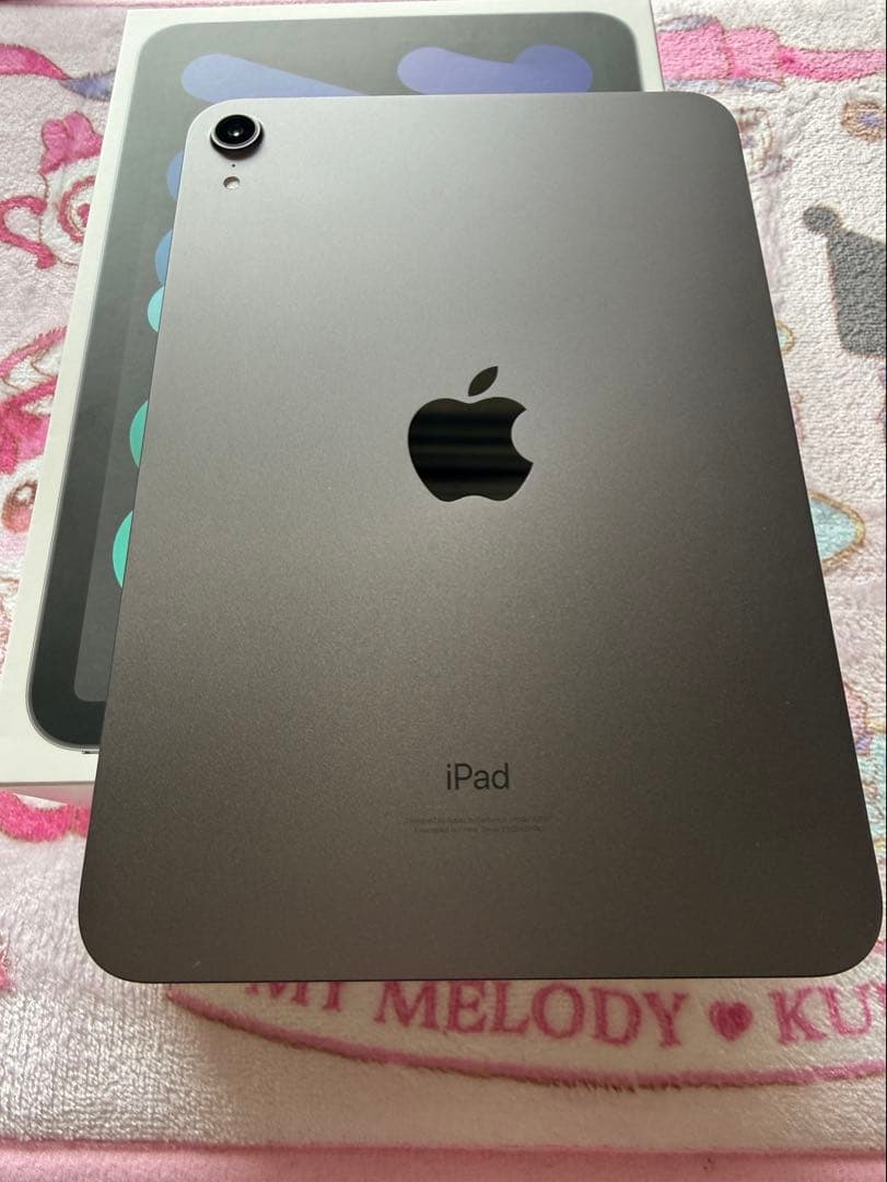 iPad mini (第6世代) 8.3インチ 64GB 100%