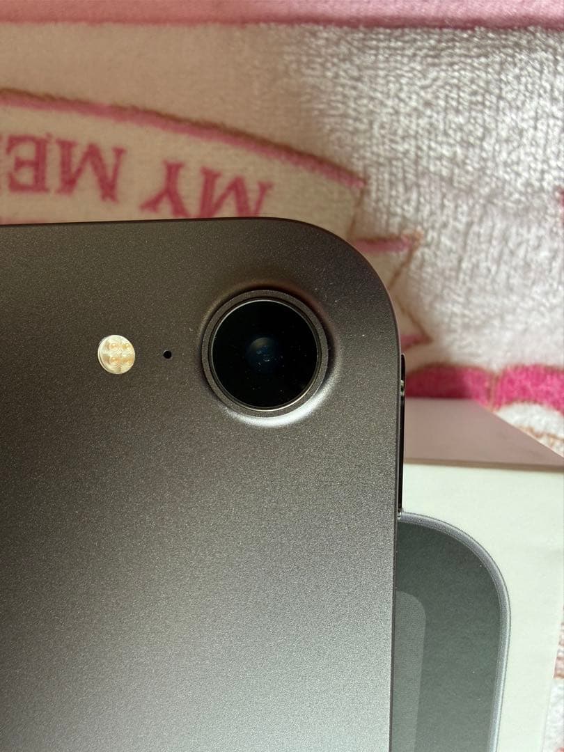 iPad mini (第6世代) 8.3インチ 64GB 100%