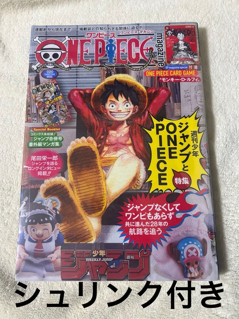 未開封　ワンピース　マガジン　プロもカード付き