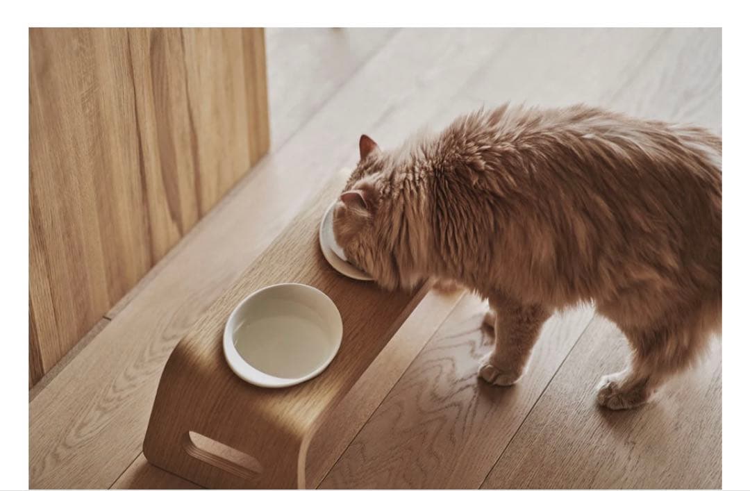 【新品未使用】KARIMOKU CAT TABLE ウォールナット　保証書付き