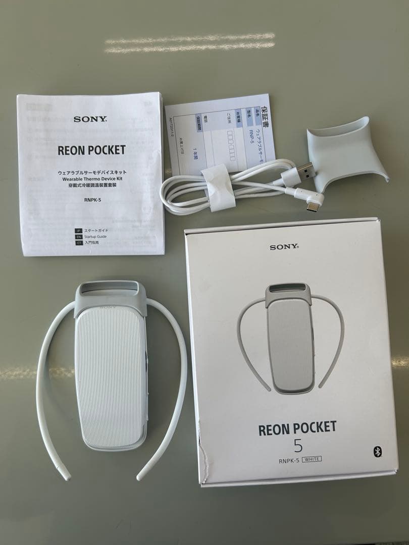 SONY REON POCKET 5 ソニー レオンポケット 5 中古品