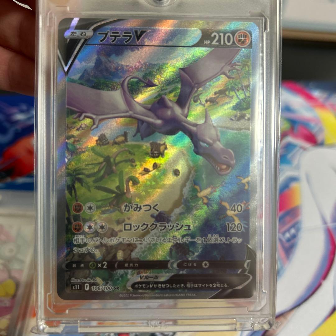 メ*コ様 ナンジャモ SR &プテラ SA