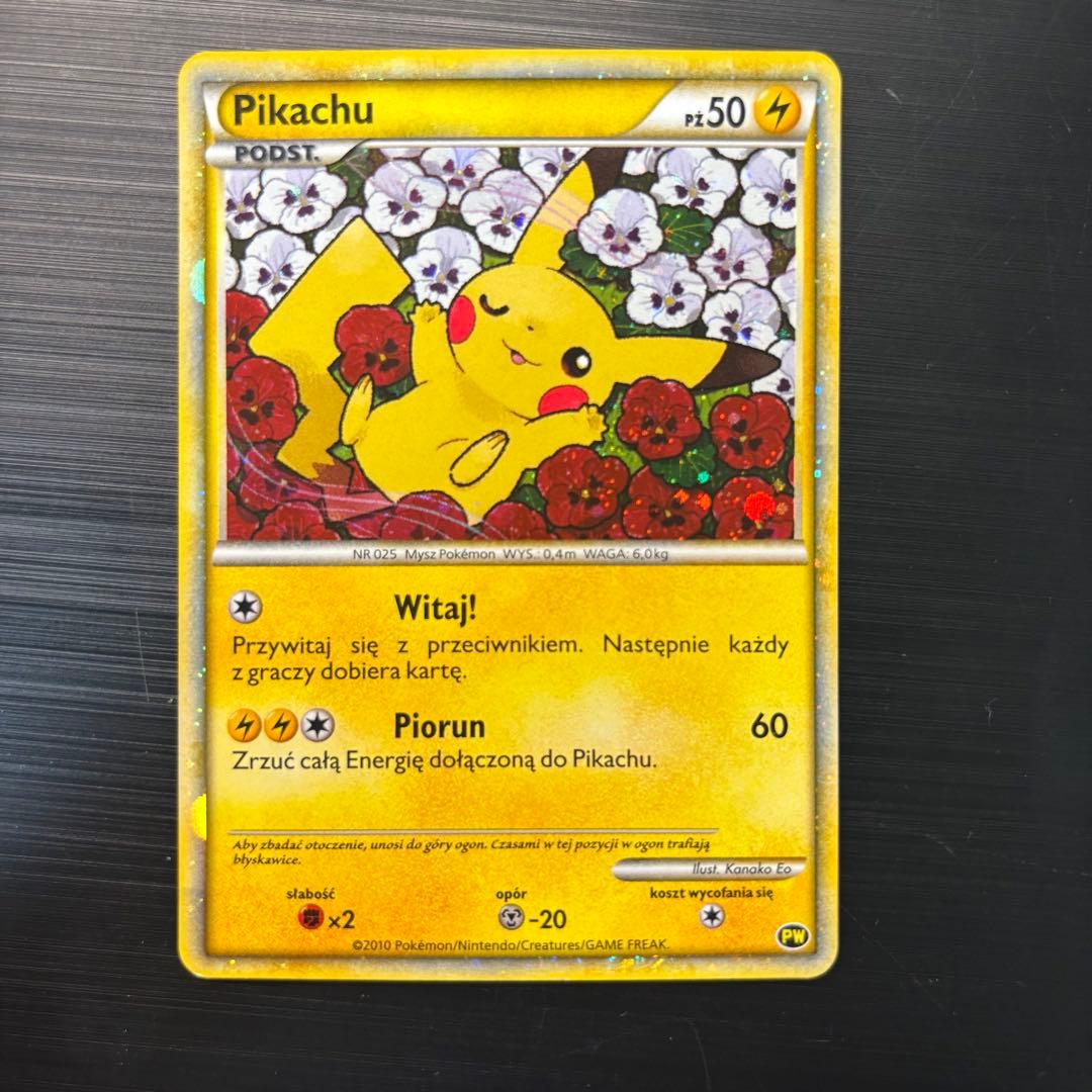 ピカチュウワールド　ポーランド