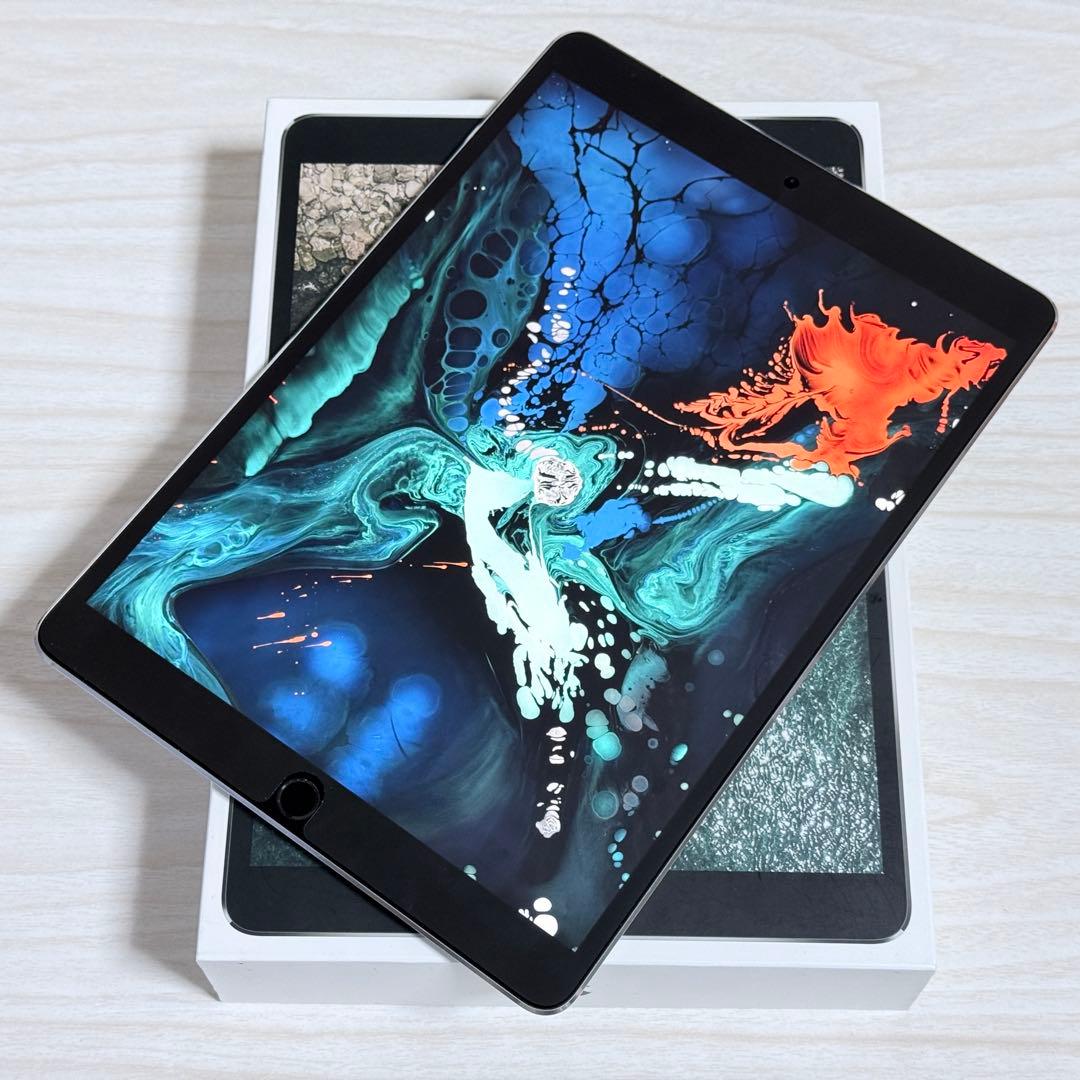う*に様 美品 Apple iPad Pro 10.5インチ 256GB スペー