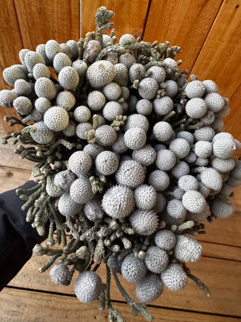 kumi様 リクエスト 3点 まとめ商品