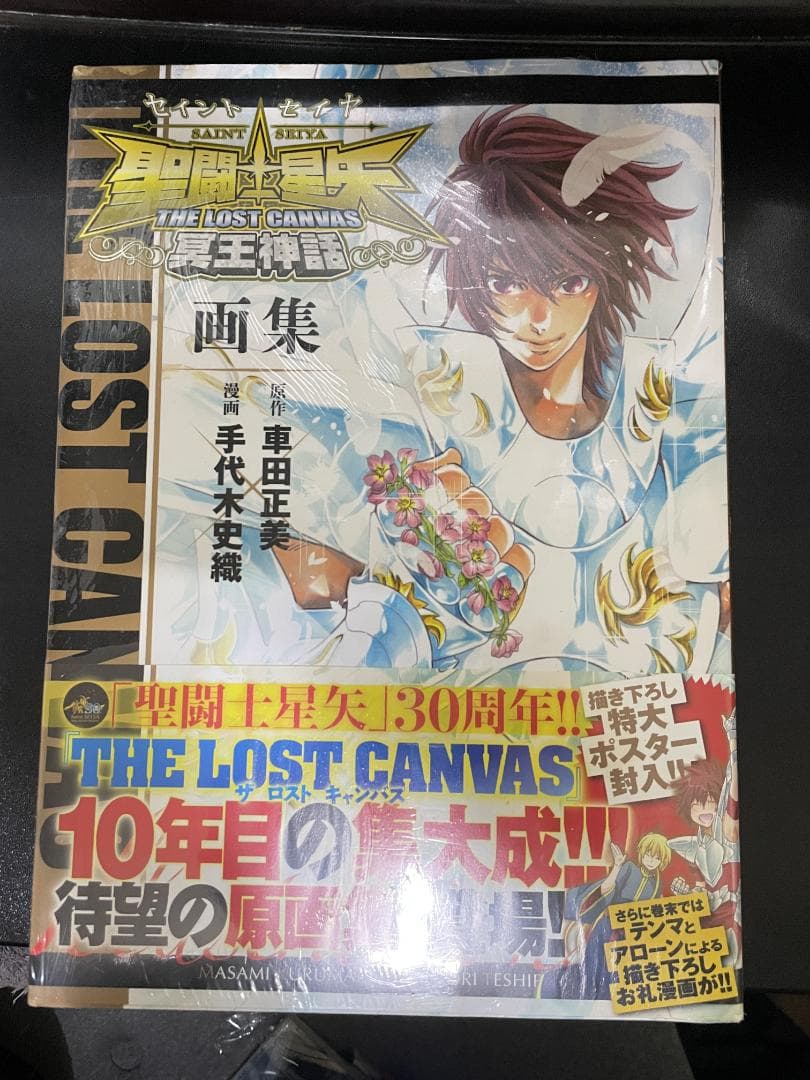 聖闘士星矢　ロストキャンバス　冥王神話　画集
