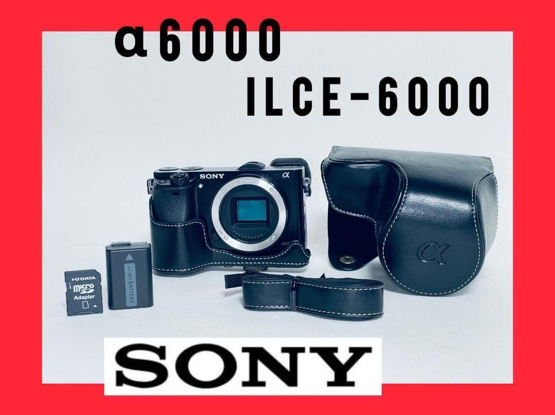 【ほぼ新品ショット数2901回】SONY α6000 ボディ ILCE-6000
