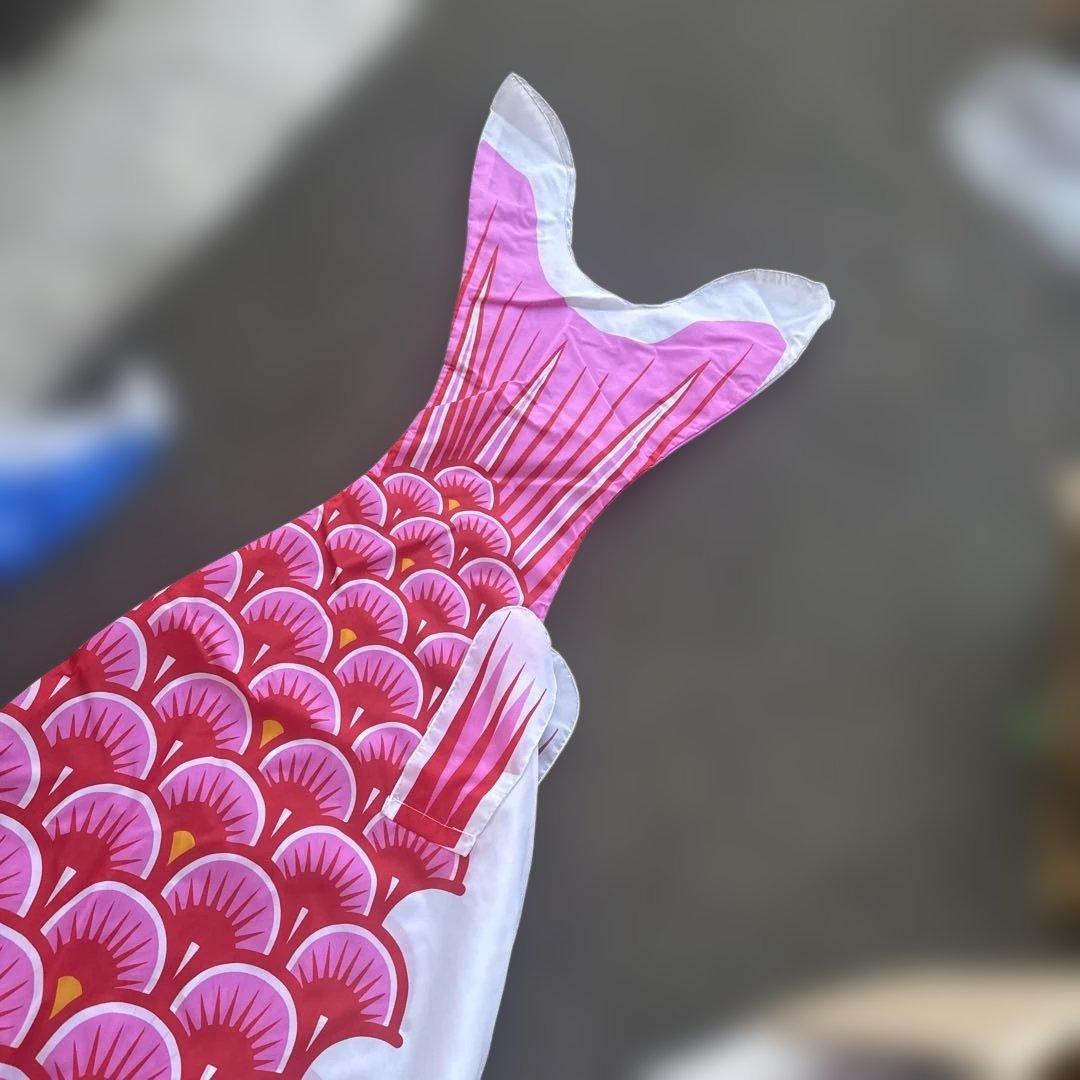 カラフル鯉のぼりセット　太郎鯉