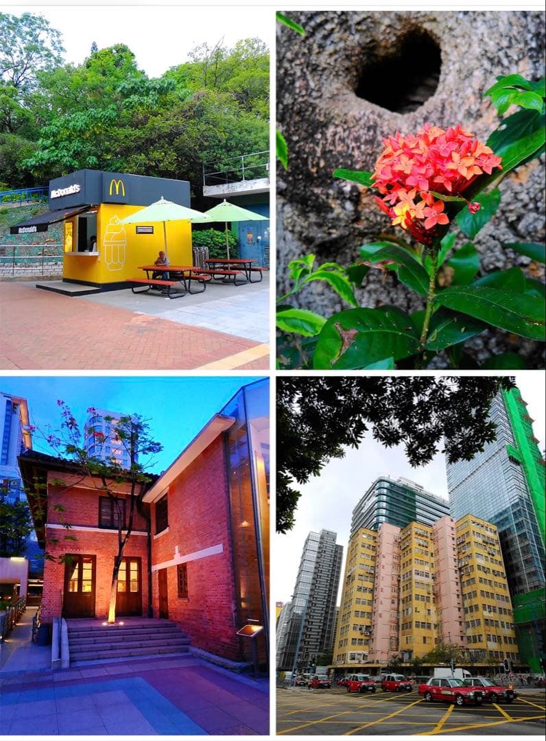 【新品未開封】YASHICA FX-D S300 デジタルカメラ