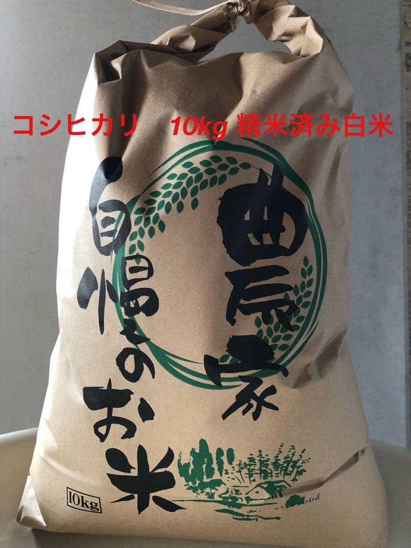 コシヒカリ10キロ　精米済み白米　2025年収穫分　三重県産　農家直送