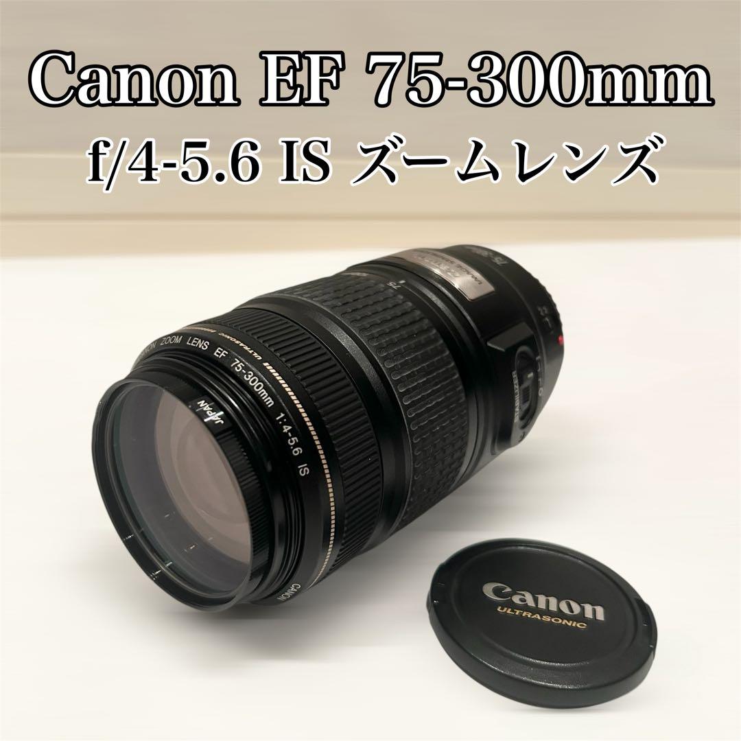 Canon EF 75-300mm f/4-5.6 IS ズームレンズ