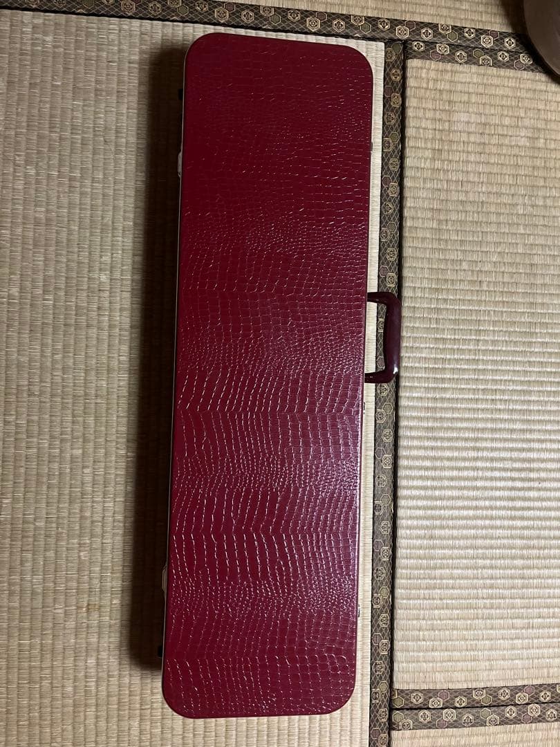 沖縄三味線（付属品・ケース付き）