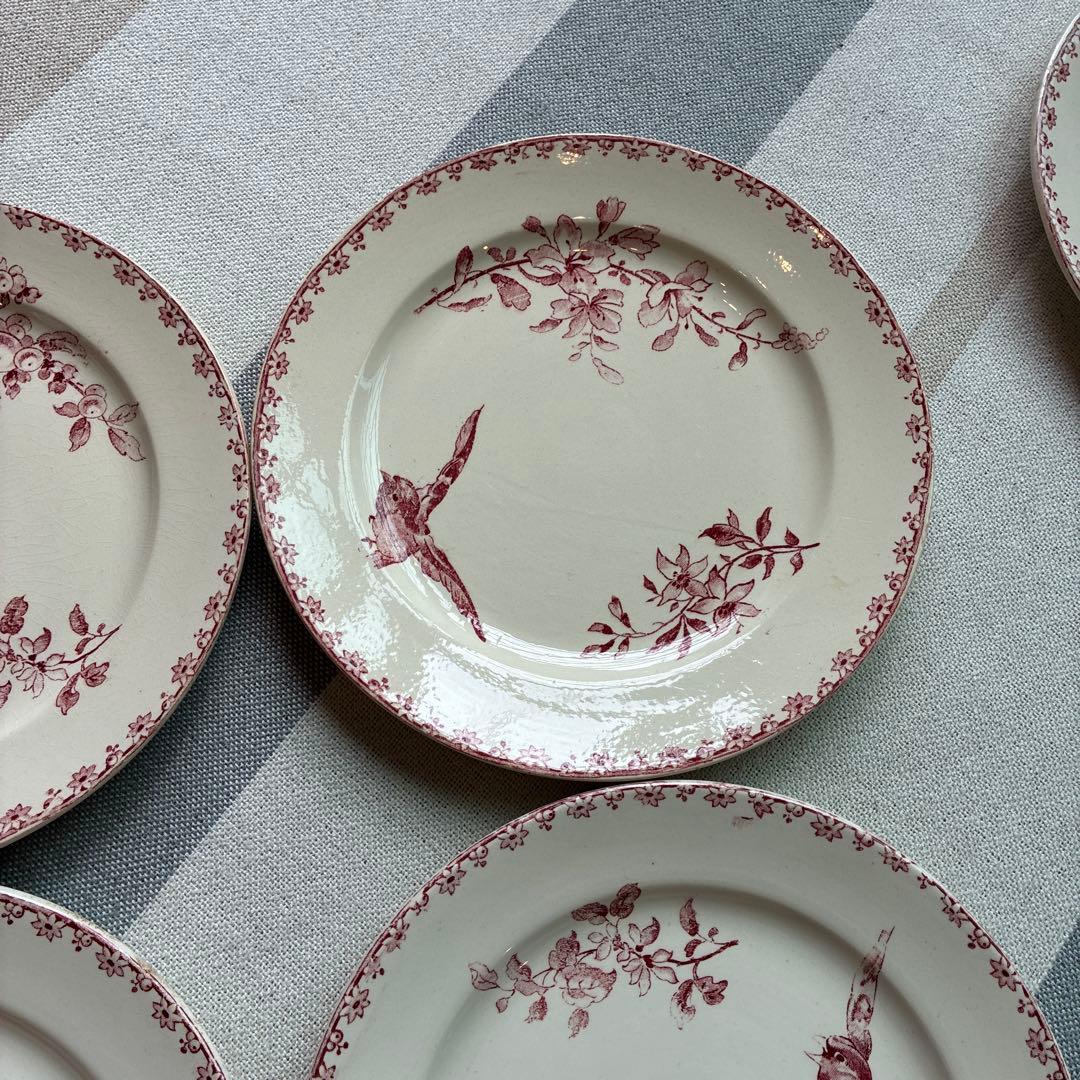 希少　サルグミンヌ ファボリ　ディナープレート フランスアンティーク食器