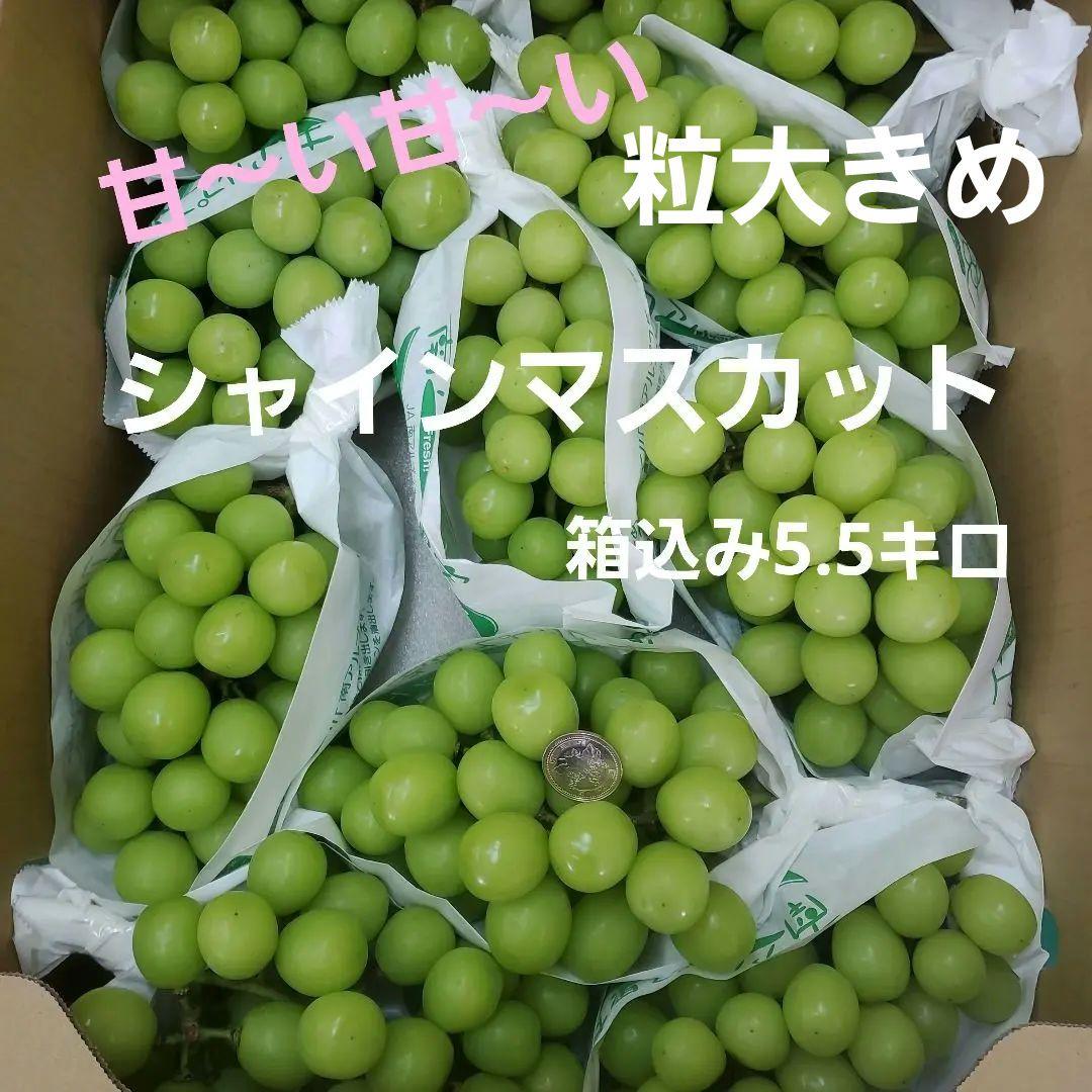 3️⃣ 山梨県産 シャインマスカット １０房入り 箱込み5.5キロ